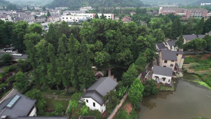 余杭径山 水绘园 民宿餐厅