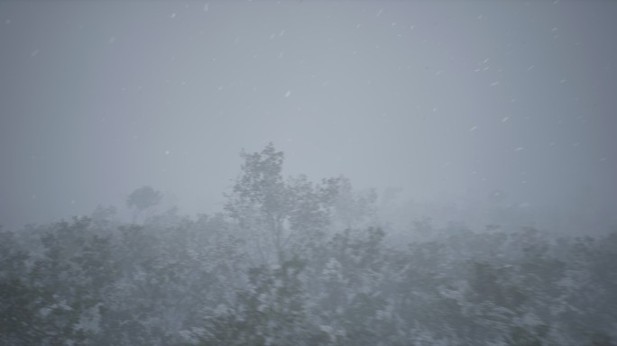 4k雪林风雪穿越树梢⑤