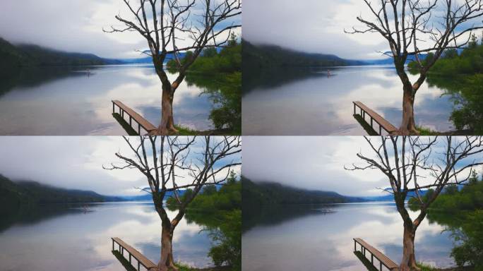 波希尼湖的光秃秃的树木和木板路映衬着多云的天空