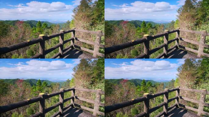 秋天或秋天，山峦和树叶随风摇曳的壮观景色，日本香川县的龙游山，自然或徒步背景