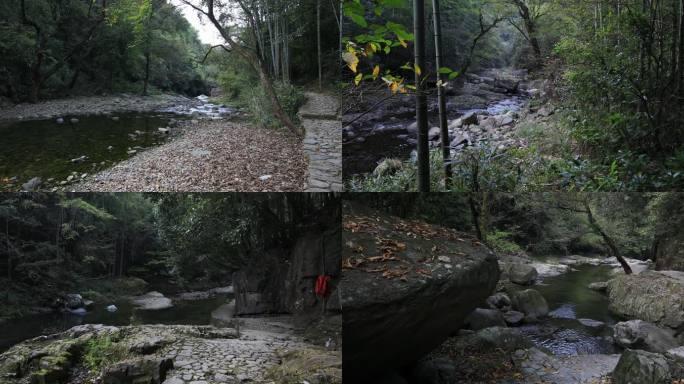 【合集】唯美山涧溪水森林竹林