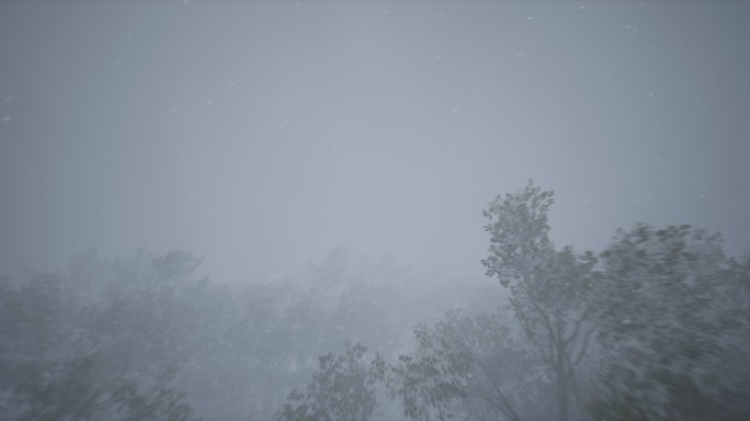 4k雪林风雪穿越树梢⑥