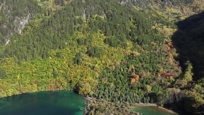 四川旅游九寨沟秋景