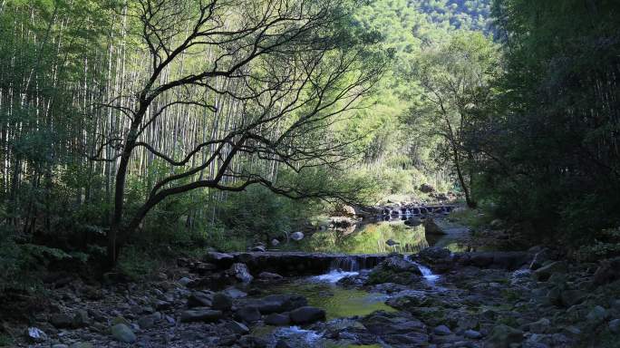 【合集】白岩溪