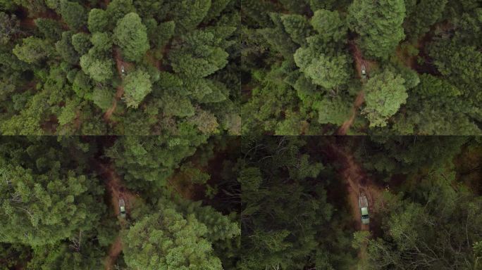 墨西哥护林员小组在森林巡逻的航拍画面