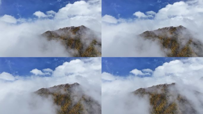 高山秋景云雾