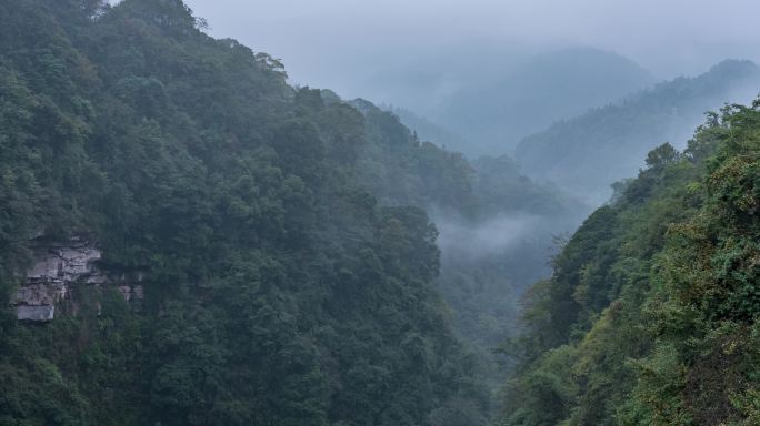 森林峡谷