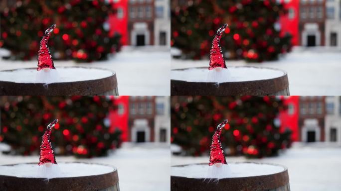 圣诞小矮人在装饰过的冷杉树的背景下在户外打鸣