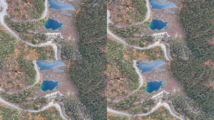 航拍四川九寨沟诺日朗瀑布秋季彩林风景空镜