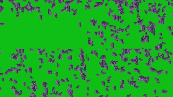 葡萄落在绿色屏幕背景慢动作，葡萄落在绿色屏幕背景。葡萄掉落效果使用视频效果，葡萄掉落的动画