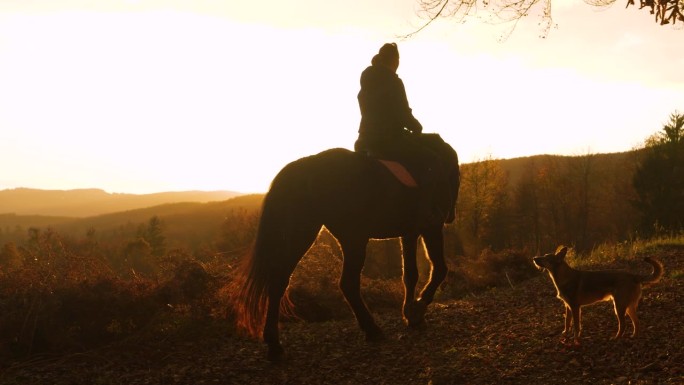 女骑手在秋天漫步在风景秀丽的丘陵乡村