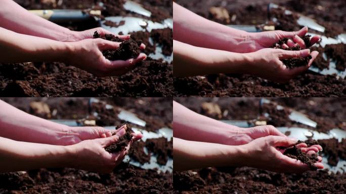 有爱心的女性双手抚摸着田野上的泥土。有经验的农民在播种前检查土壤湿度。
