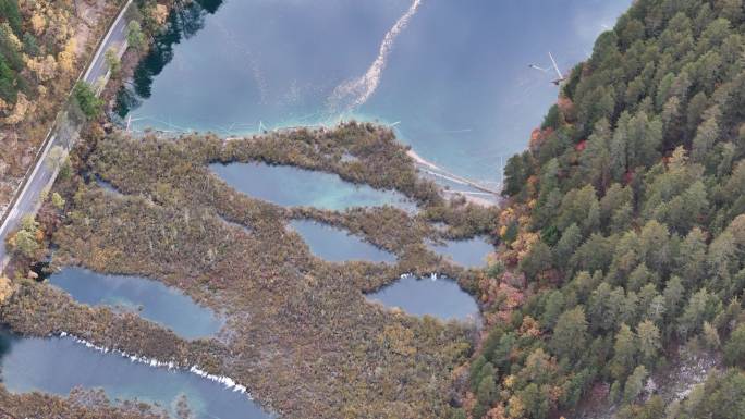 航拍四川九寨沟诺日朗瀑布秋季彩林风景空镜