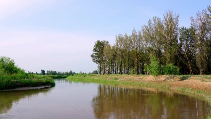 河边 小河 湿地 河水 滩地 流水 绿化