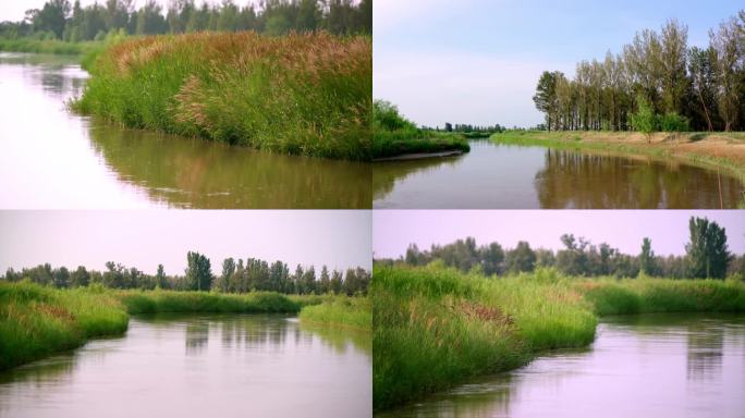 河边 小河 湿地 河水 滩地 流水 绿化