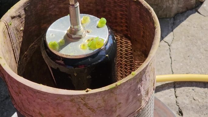 酿造自制葡萄酒的过程。酿酒师将压碎的葡萄装入液压机。