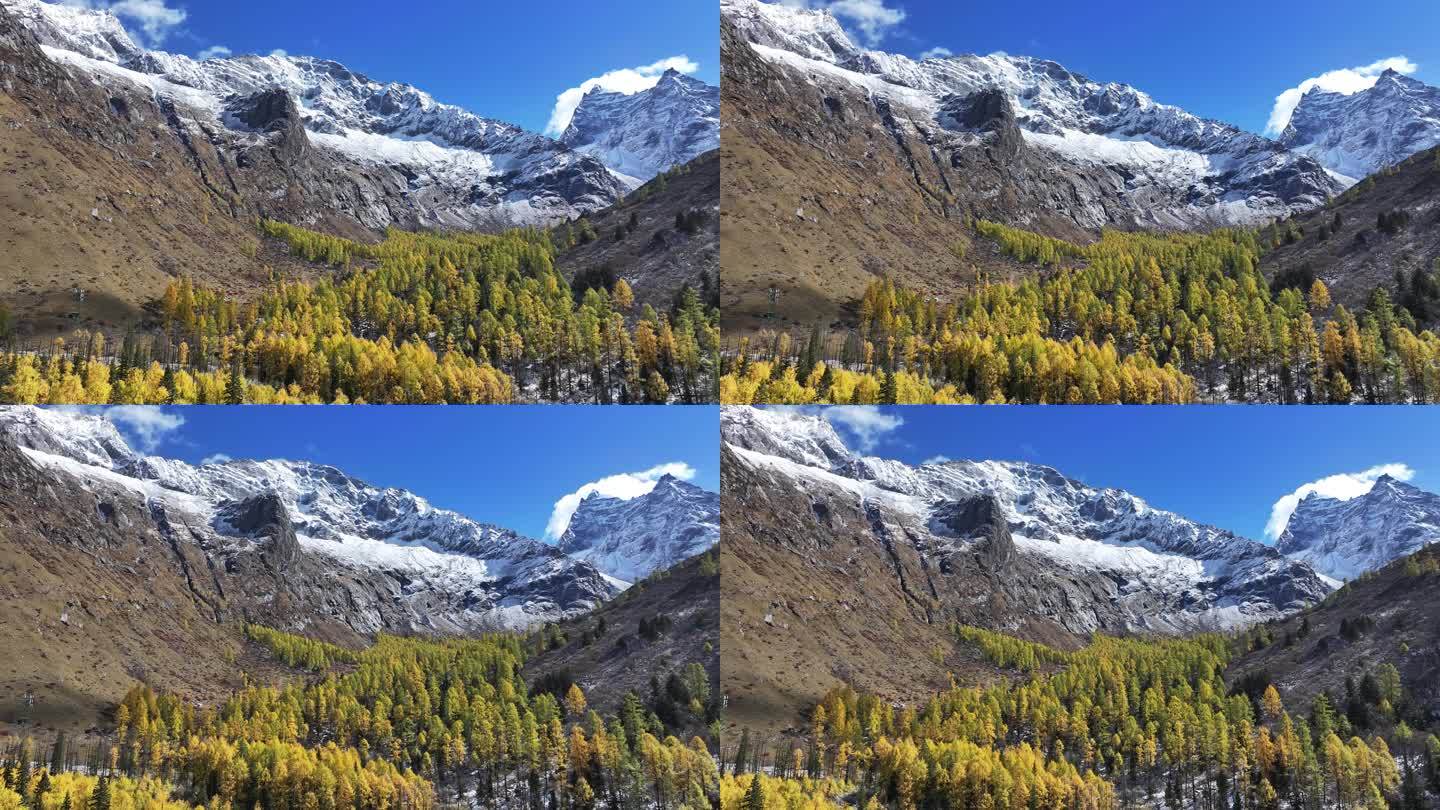 四姑娘山双桥沟雪山秋景航拍