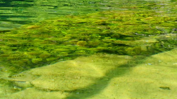 水下水草水生生态环境