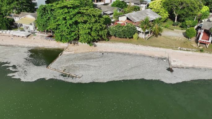 死鱼沿着泰国的海滩排列在海岸线上。