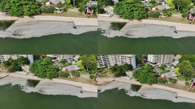 死鱼沿着泰国的海滩排列在海岸线上。