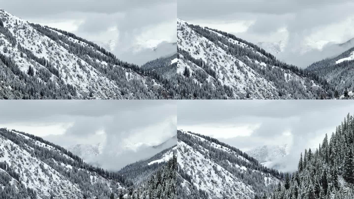 冬天的森林雪山