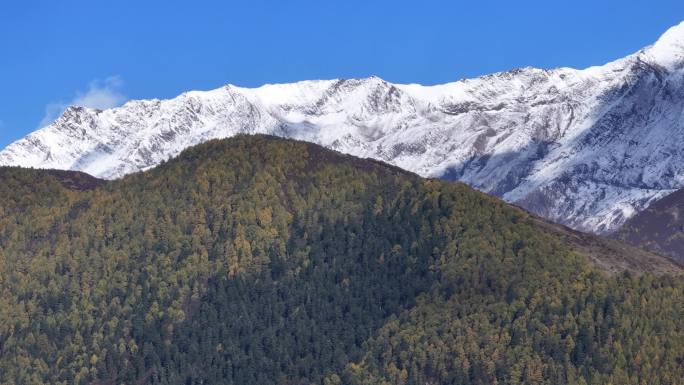 高原雪山秋景蓝天白云