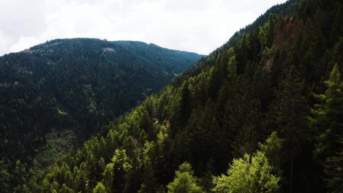 无人机拍摄的意大利山区树木的广角照片。