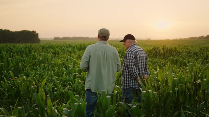农业经营者、农民父子站在田间讨论播种方案