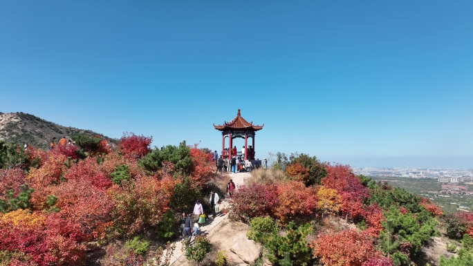 龙口红叶山