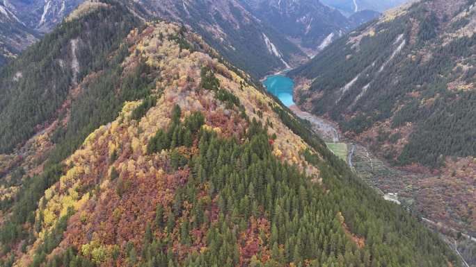 航拍四川九寨沟诺日朗瀑布五花海山脉彩林