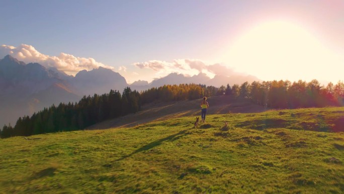 航拍:在金色的夕阳下，健康的女人带着狗在风景优美的山顶上奔跑