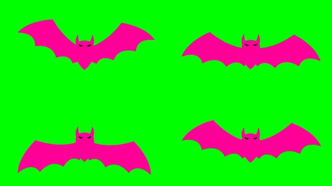 动画品红色蝙蝠苍蝇。毛圈的视频。万圣节的概念，黑色星期五。矢量插图隔离在绿色背景上。