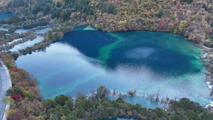 航拍四川九寨沟树正海群海秋季彩林风景空镜