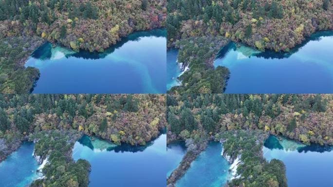 航拍四川九寨沟树正海群海秋季彩林风景空镜