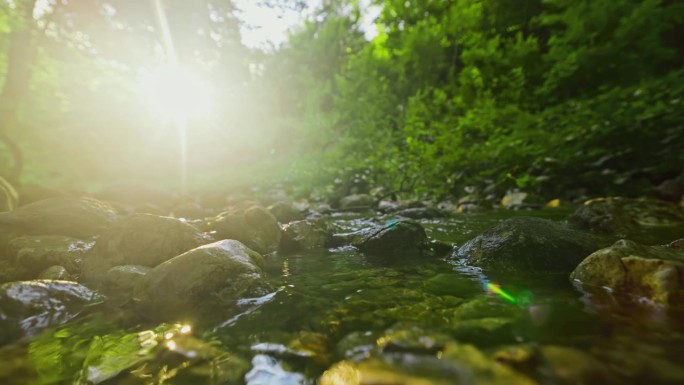 宁静的波欣卡河在夏季流经森林岩石的水面