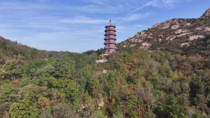 航拍山东荣成石岛赤山风景区法华塔秋季风景