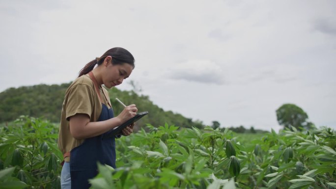 农民使用智能设备科学家分析温室科研植物
