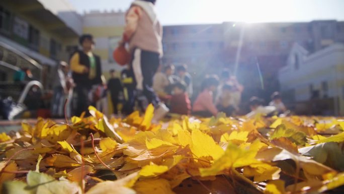 幼儿园小孩子玩耍金秋落叶光影美好的童年