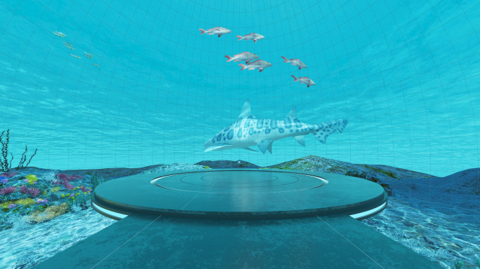 VR海底世界360度全景4K