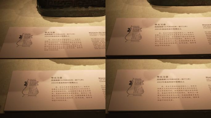 陕西宝鸡青铜器博物院文物46
