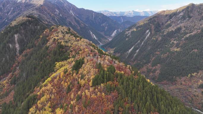 航拍四川九寨沟诺日朗瀑布五花海山脉彩林