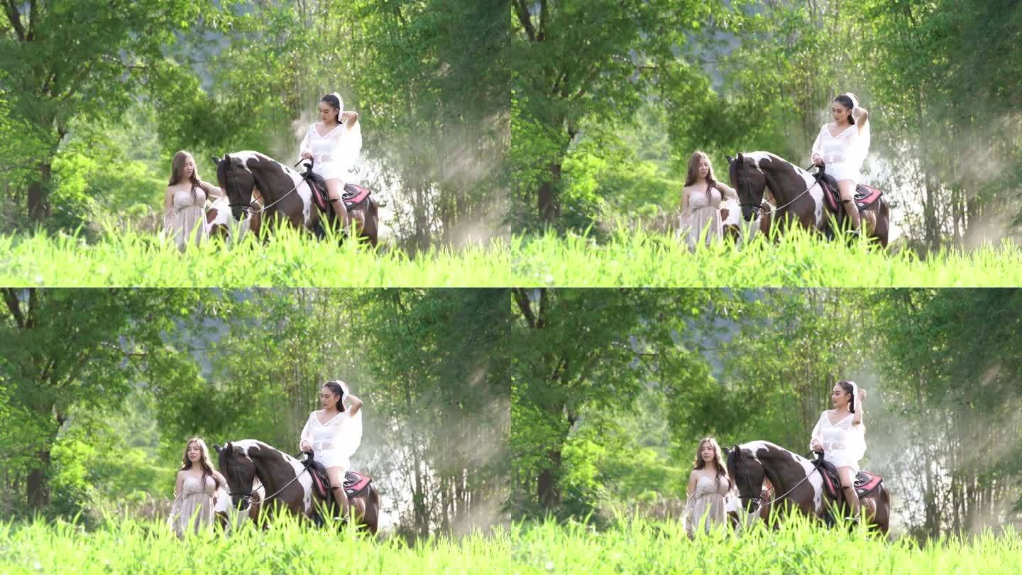 春天，美丽的女人和马在田野里。夏日田野森林里幸福的白裙女人牵着马。