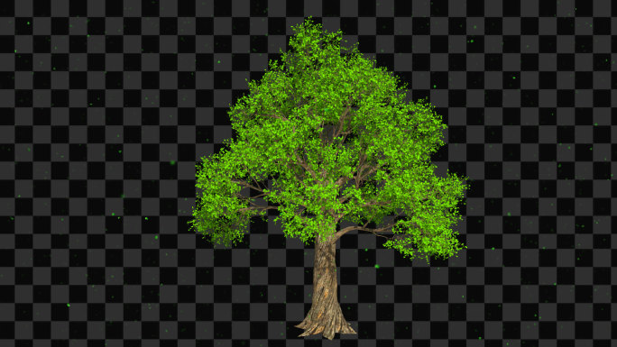 3D渲染树木生长摇曳-带透明通道