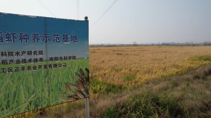 稻米水稻农田耕地种植基地正丰告示牌横移