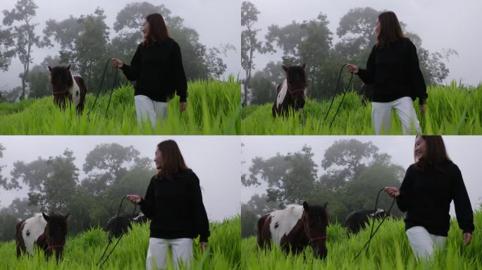 一个女人牵着一匹马在草地上的慢动作