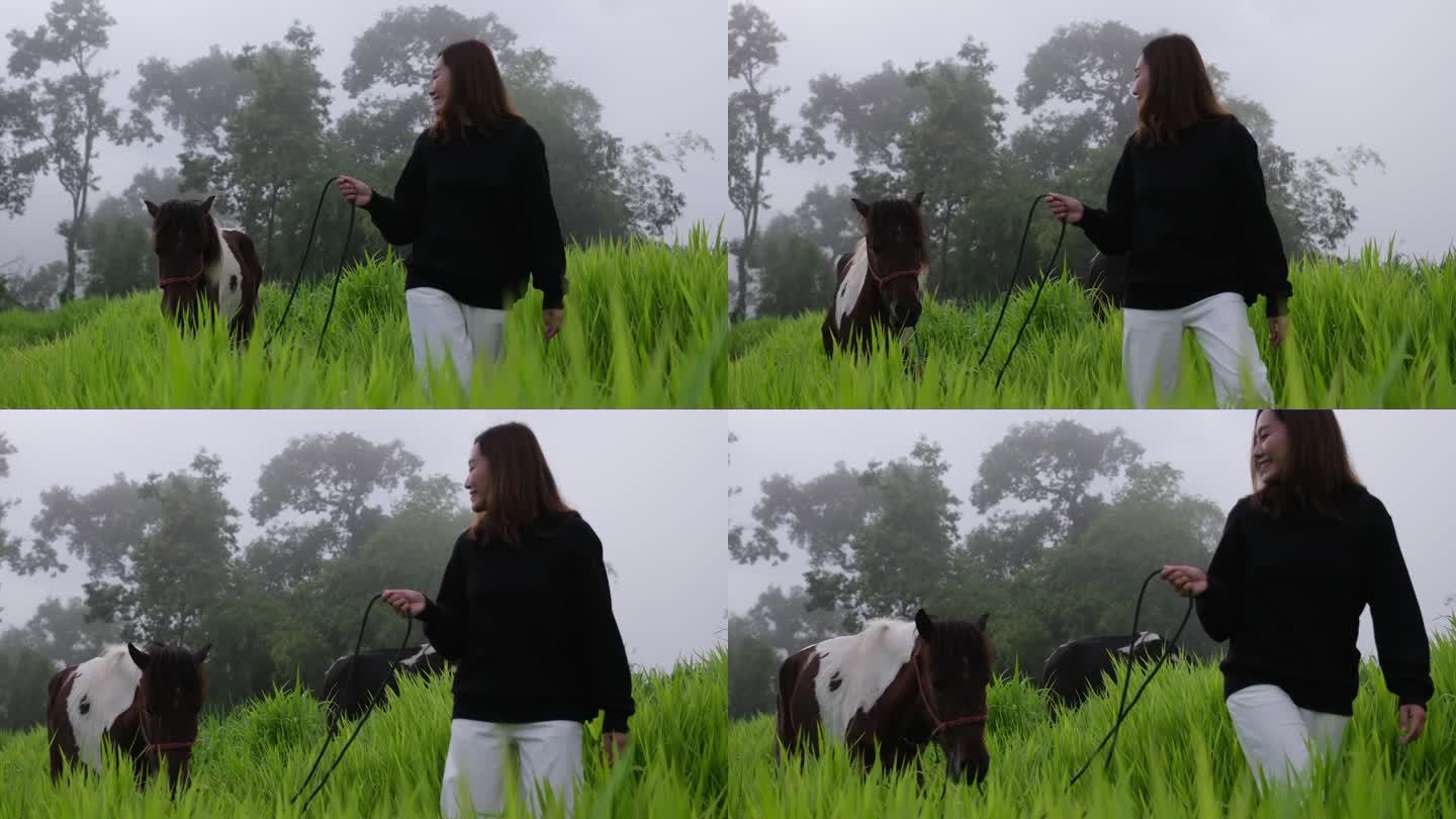 一个女人牵着一匹马在草地上的慢动作
