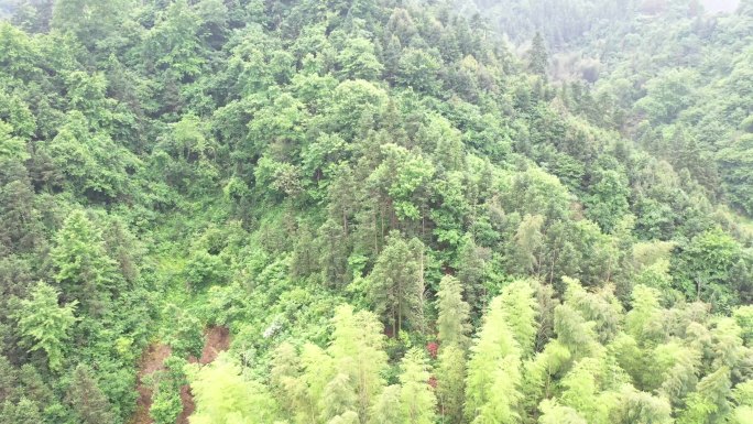 1-航拍大别山美丽山顶风景