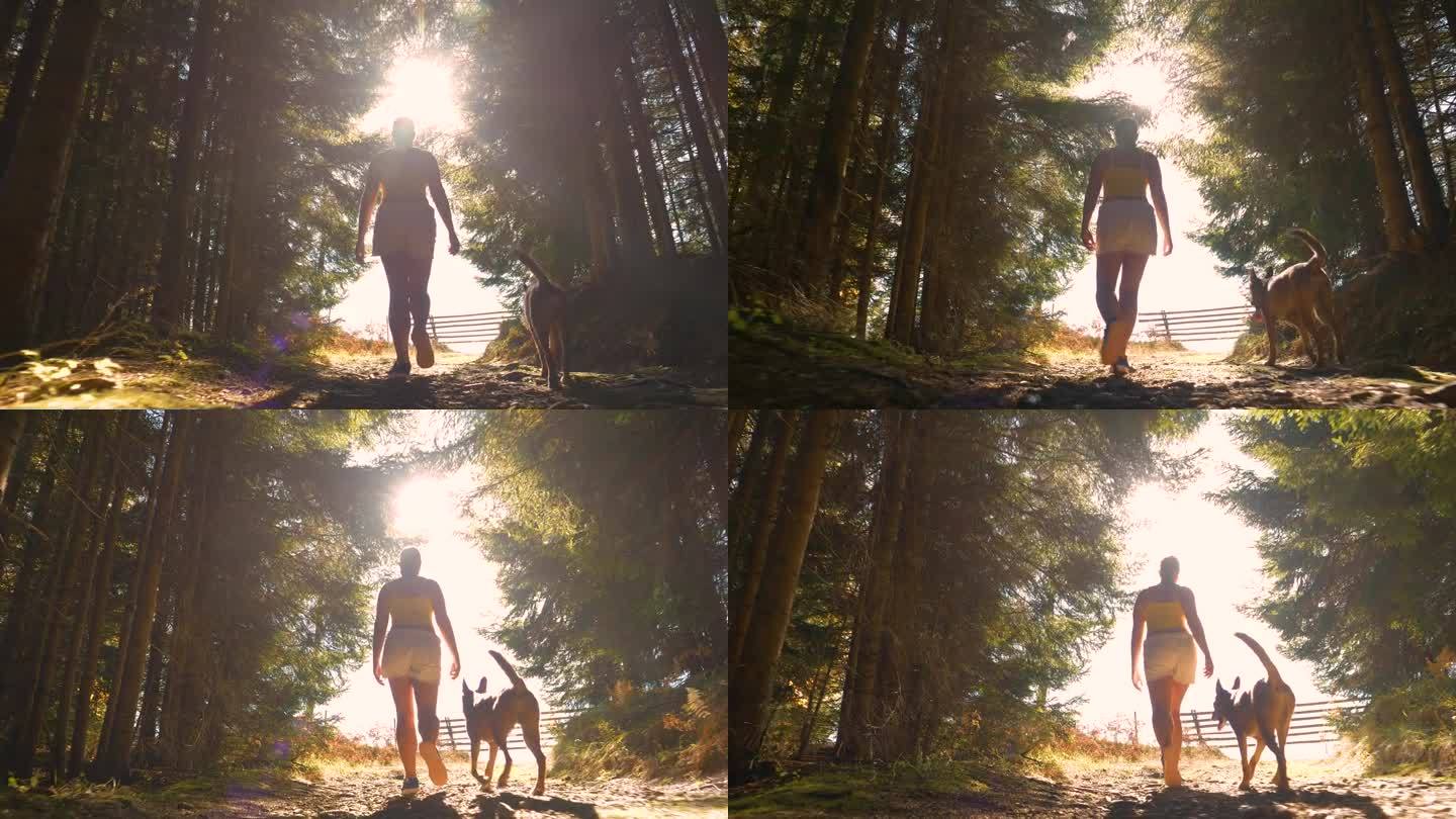 镜头光晕，低视角:一位女士带着她的狗穿过茂密的云杉森林