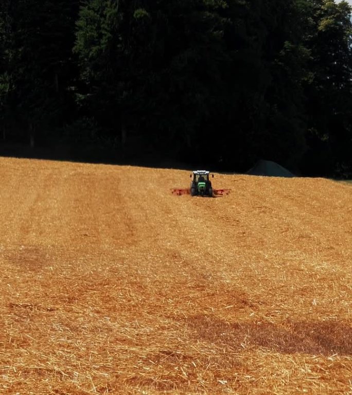 农用拖拉机在田间收小麦。垂直视频