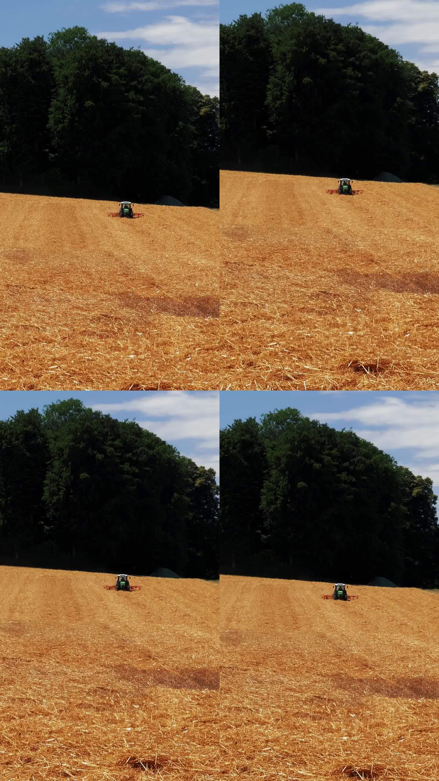 农用拖拉机在田间收小麦。垂直视频